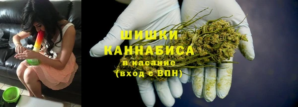 PSILOCYBIN Белокуриха